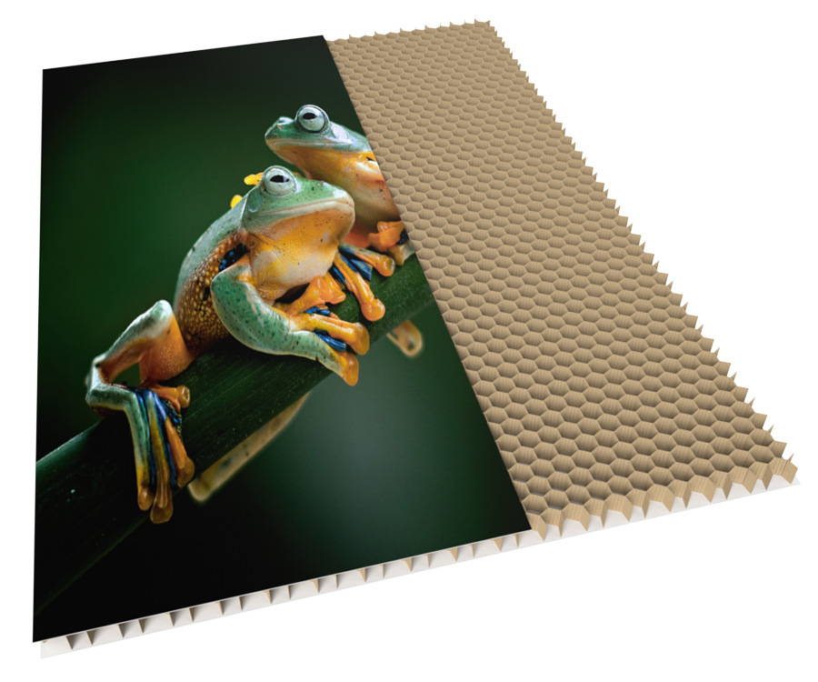 envirocore-banner-image-02